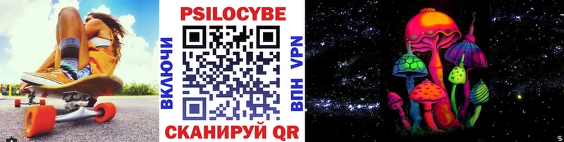 Галлюциногенные грибы Psilocybine cubensis  Карачев 
